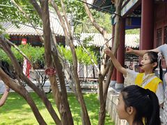 -碑林公园