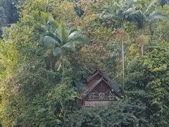 -野象谷景区