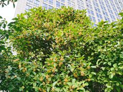 -嘎嘎鸭下巴·爆辣干锅(明教寺店)