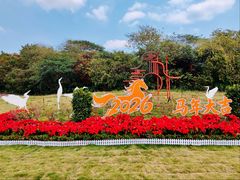 -海珠湖公园