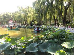 -丰台花园