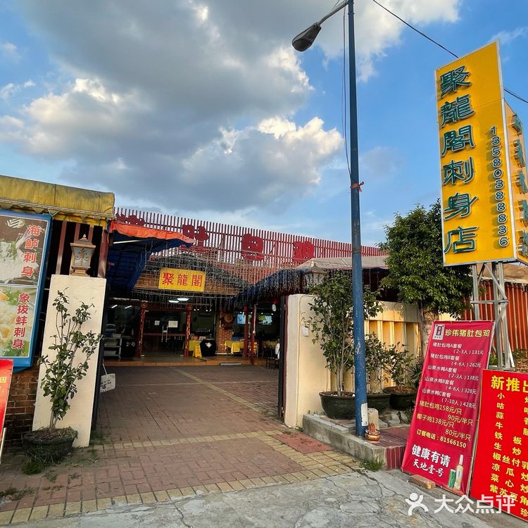 🐟无鱼生不夏天#
