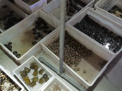 -华声天桥民俗文化园