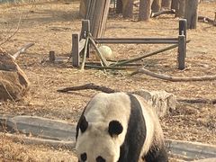 -沈阳森林动物园