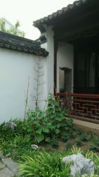 -忆江南婚礼策划(姑苏店)