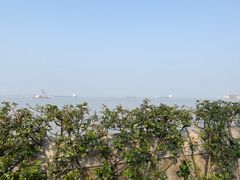 -上海滨江森林公园