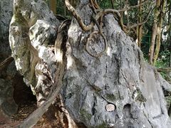 -杭州西湖风景名胜区-三生石