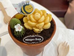 -哈根达斯(上海金山店)