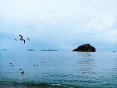 -棒棰岛宾馆景区
