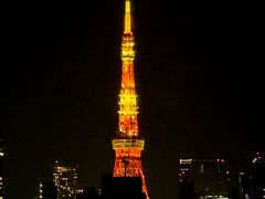 -六本木新城展望台(东京城市景观)