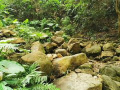 -火炉山森林公园