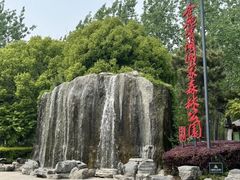 -合肥滨湖国家森林公园