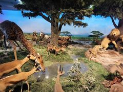 -国家自然博物馆