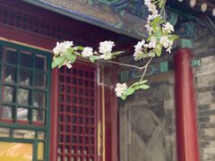 -潭柘寺景区