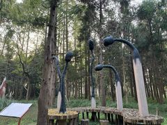 -东平国家森林公园