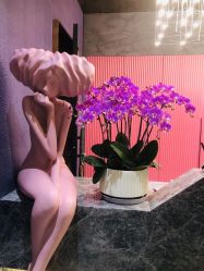 -花隐·美芙炫海菲秀皮肤管理中心