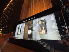 -BLACKSWAN黑天鹅(环球店)