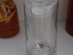 -海桐