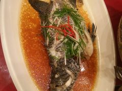-都市阳光海鲜城(青山湖店)