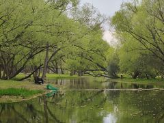 -上海共青森林公园