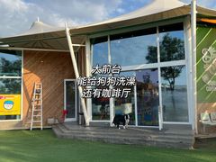 -爪吧宠物乐园·宠物泳池(温榆河示范区店)