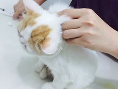 -甄爱宠物医院(疏影路店)
