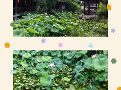 -衣裳街历史文化街区