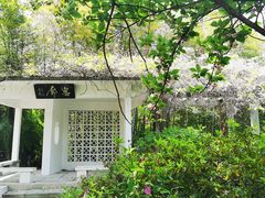 -求雨山文化公园