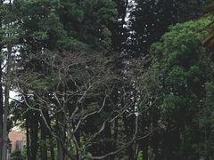 -四海公园(南山区)