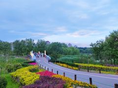 -马家湾湿地公园