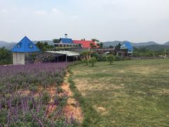 景点-中国香山·寿香谷