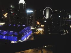 -新加坡瑞士史丹福酒店