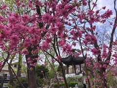 -君庭中餐厅(友谊宾馆店)