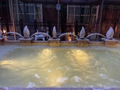 -春晖园度假酒店温泉