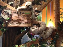 -济州岛泰迪熊博物馆