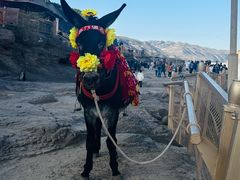 -陕西黄河壶口瀑布旅游区