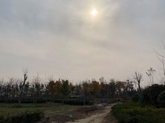 -郑东新区龙湖公共艺术中心