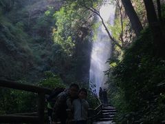 -莫里热带雨林景区