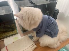 -藏猫猫咖啡主题馆(中央大道店)