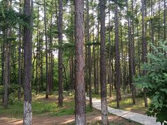 -长春市南湖公园