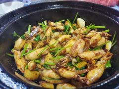 -石岐乳鸽村(南海第三分店)
