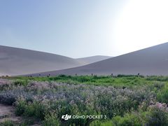 -爱康国宾体检中心(福田分院)