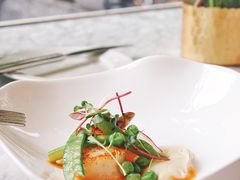 香煎扇贝-蝶舍·MAISON PAPILLON