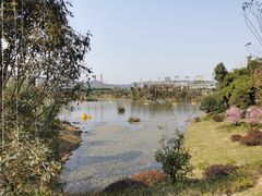 -枫香湖儿童公园