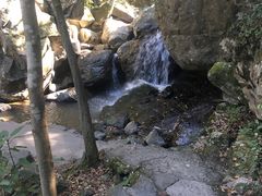 -藏龙百瀑风景区