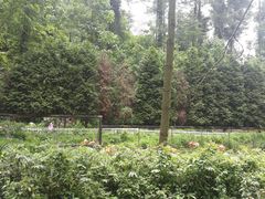 -贵州森林野生动物园