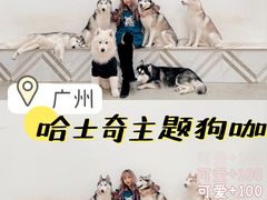 -星多哈·狗咖·拼豆·咖啡