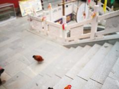 -鸡鸣山旅游风景区