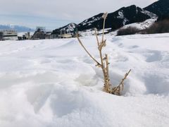 -丝绸之路山地度假区滑雪场