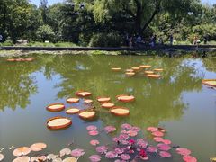 -国家植物园南园